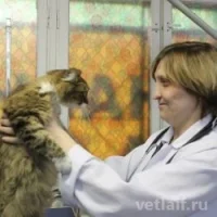 Никитина Евгения Константиновна