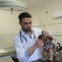 Дандал Али