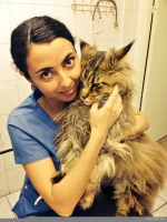 Дандал (Борисенко) Любовь Николаевна